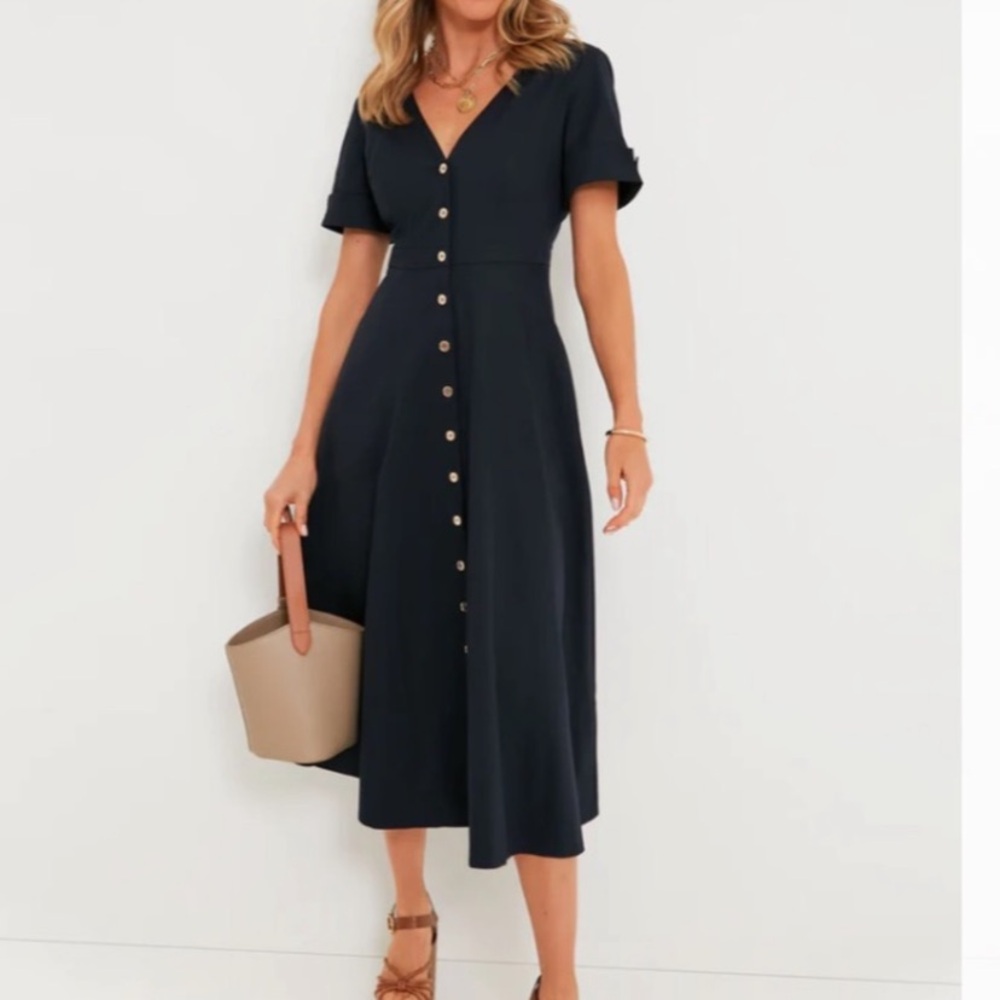 Tuckernuck Navy button front Midi Dress